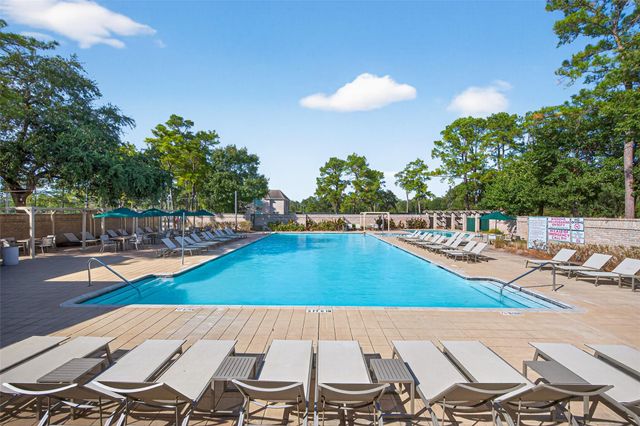 16703 Southern Oaks Drive, Houston, TX 77068