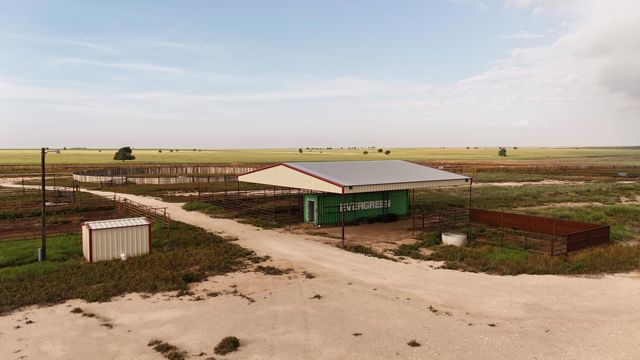 881 FM168, Brownfield, TX 79316