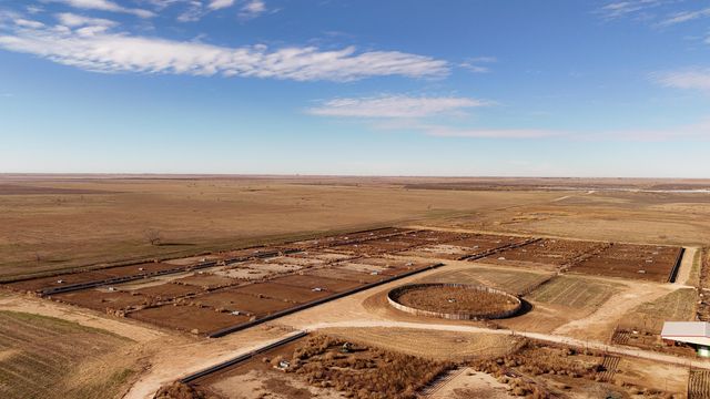 881 FM168, Brownfield, TX 79316