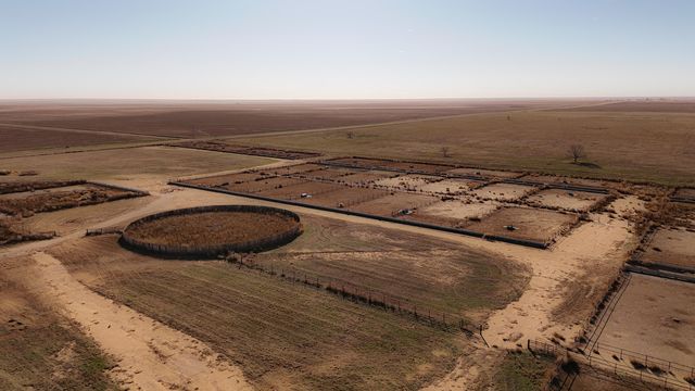 881 FM168, Brownfield, TX 79316