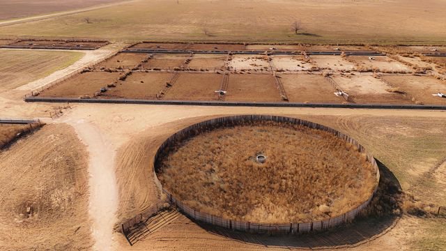 881 FM168, Brownfield, TX 79316