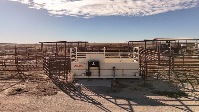 881 FM168, Brownfield, TX 79316