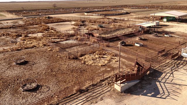 881 FM168, Brownfield, TX 79316