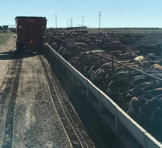 881 FM168, Brownfield, TX 79316