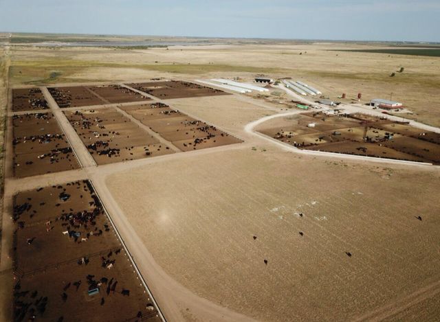 881 FM168, Brownfield, TX 79316