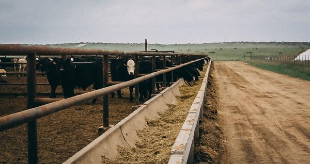 881 FM168, Brownfield, TX 79316