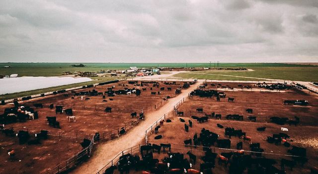 881 FM168, Brownfield, TX 79316