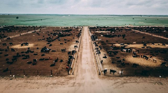 881 FM168, Brownfield, TX 79316