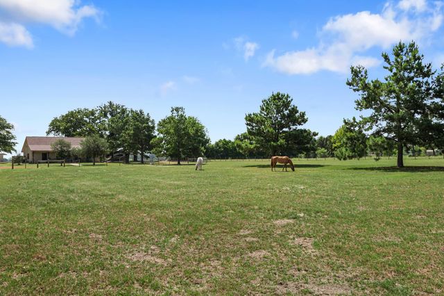 384 County Road 1875, Grapeland, TX 75844