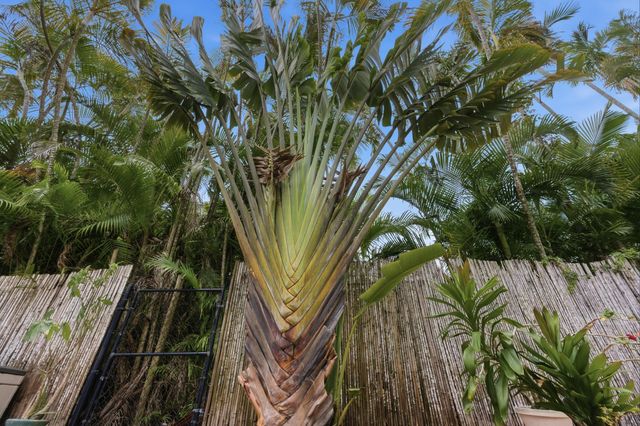 10740 NW 19th Street, Coral Springs, FL 33071