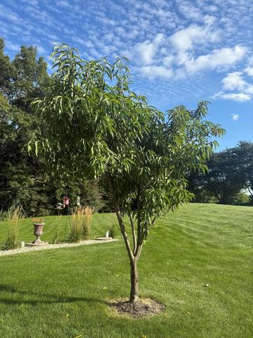 139 Legend COURT, Wales, WI 53183