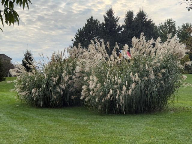 139 Legend COURT, Wales, WI 53183