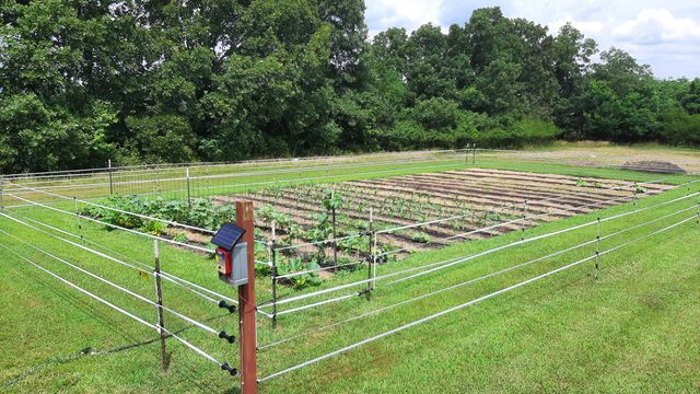 499 Black Coyote Trail, Galena, MO 65656