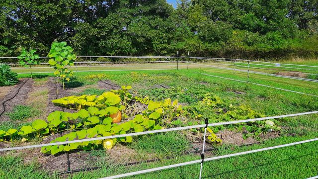 499 Black Coyote Trail, Galena, MO 65656