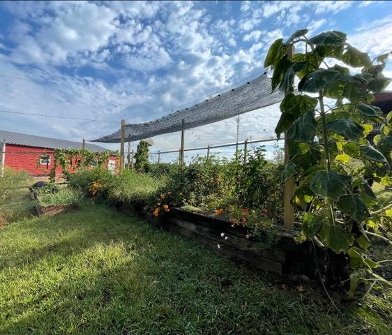 499 Black Coyote Trail, Galena, MO 65656