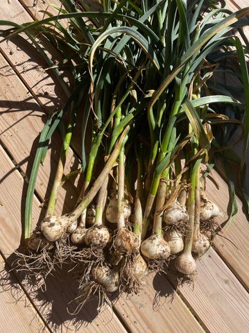 499 Black Coyote Trail, Galena, MO 65656