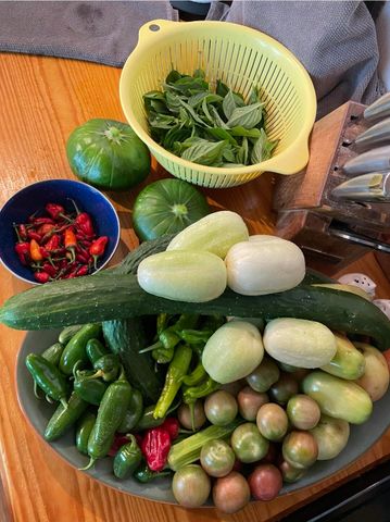 499 Black Coyote Trail, Galena, MO 65656