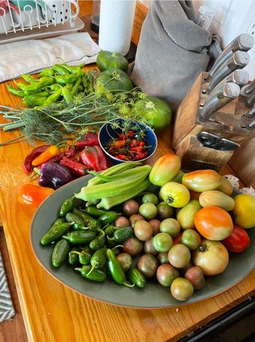 499 Black Coyote Trail, Galena, MO 65656