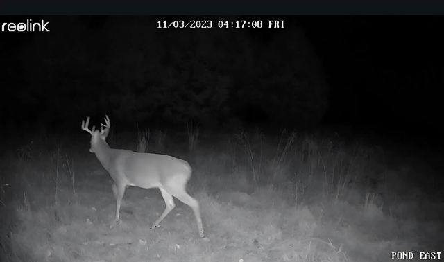 499 Black Coyote Trail, Galena, MO 65656