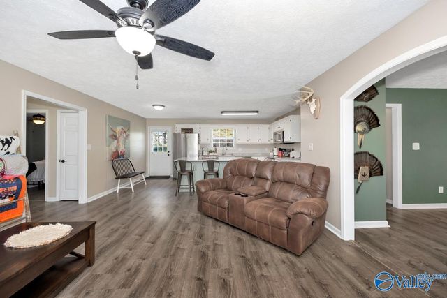 27330 Salem Minor Hill Road, Lester, AL 35647