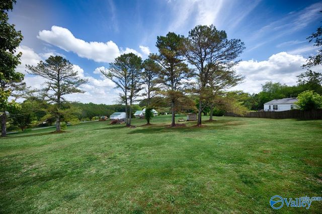 27330 Salem Minor Hill Road, Lester, AL 35647