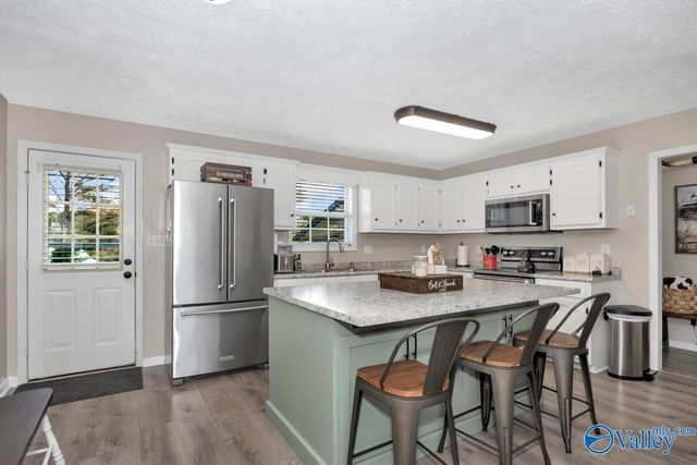 27330 Salem Minor Hill Road, Lester, AL 35647