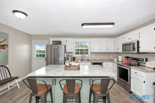 27330 Salem Minor Hill Road, Lester, AL 35647