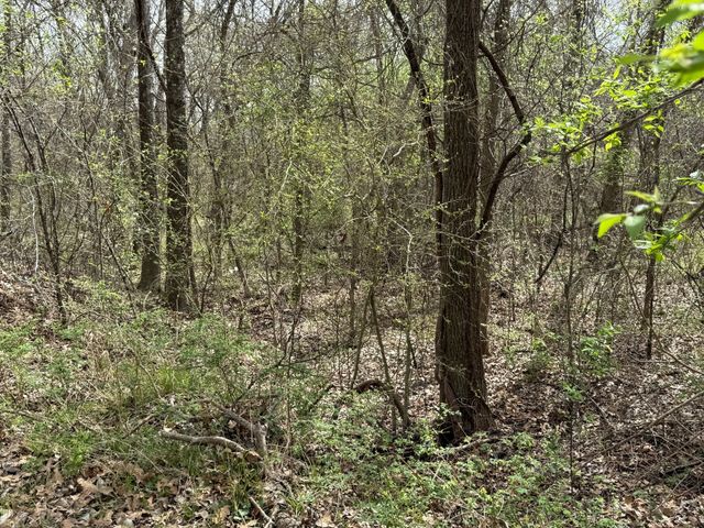 15542 Gholson Road, Waco, TX 76705