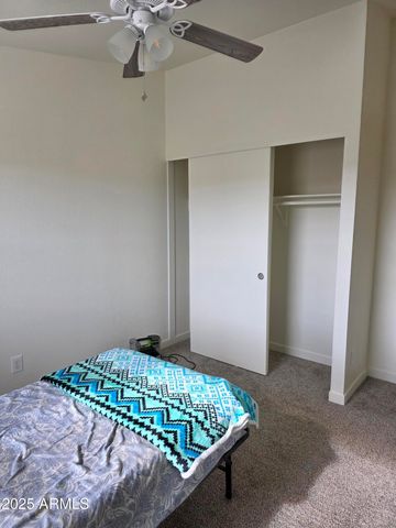 58 ACR 6009 --, St Johns, AZ 85936