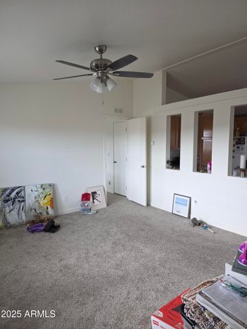 58 ACR 6009 --, St Johns, AZ 85936