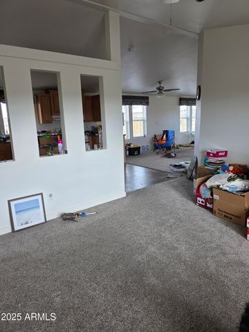 58 ACR 6009 --, St Johns, AZ 85936