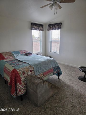 58 ACR 6009 --, St Johns, AZ 85936