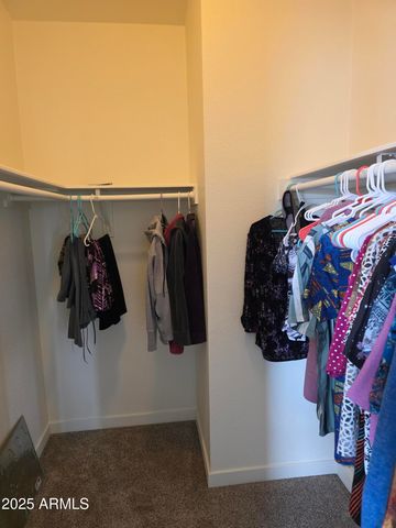 58 ACR 6009 --, St Johns, AZ 85936