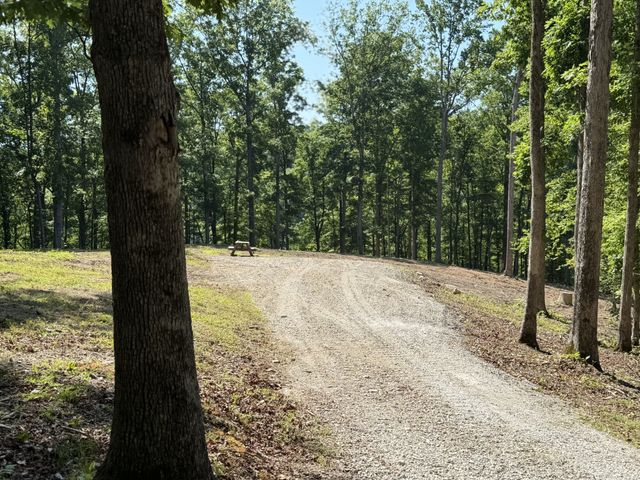7506 Ivorybill Ln, Franklin, TN 37064