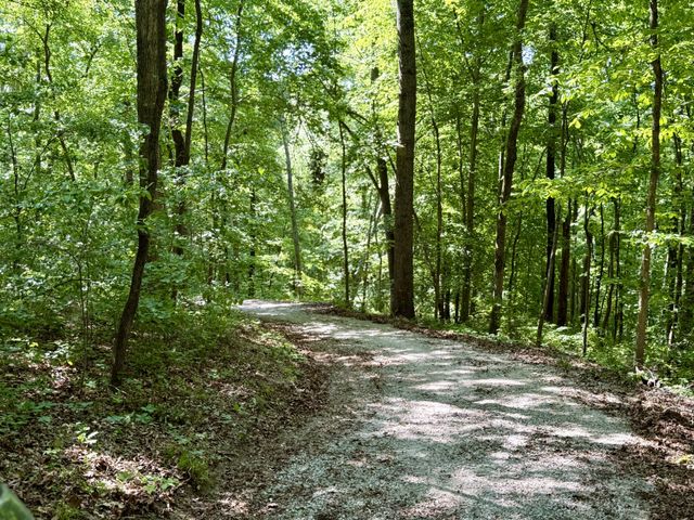 7506 Ivorybill Ln, Franklin, TN 37064