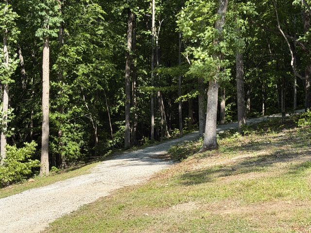 7506 Ivorybill Ln, Franklin, TN 37064