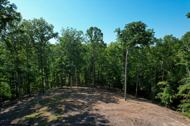 7506 Ivorybill Ln, Franklin, TN 37064