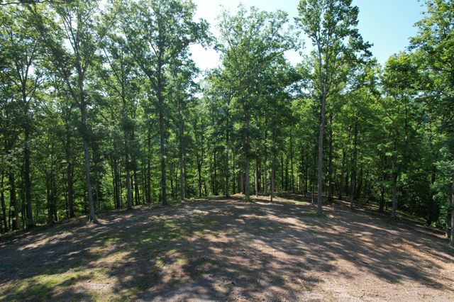 7506 Ivorybill Ln, Franklin, TN 37064
