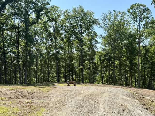 7506 Ivorybill Ln, Franklin, TN 37064