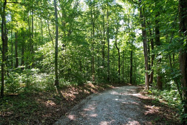 7506 Ivorybill Ln, Franklin, TN 37064