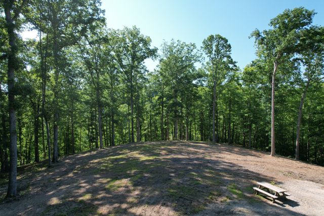 7506 Ivorybill Ln, Franklin, TN 37064