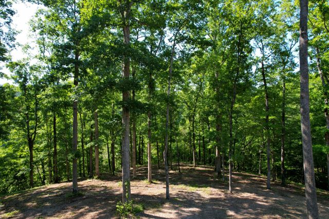 7506 Ivorybill Ln, Franklin, TN 37064