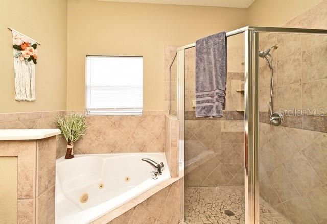 11994 MCKINNON ROAD, Windermere, FL 34786