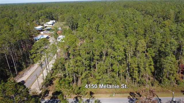 4150 MELANIE STREET, Hastings, FL 32145