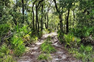 0000 SW COUNTY ROAD 347, Chiefland, FL 32626
