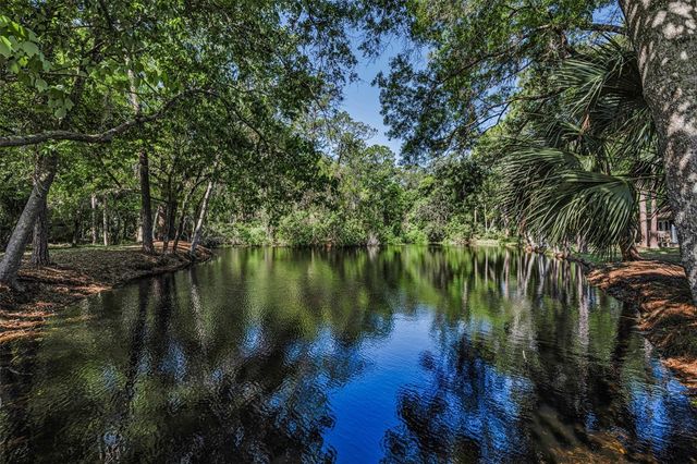 3164 BROOKER CREEK WAY, Palm Harbor, FL 34685