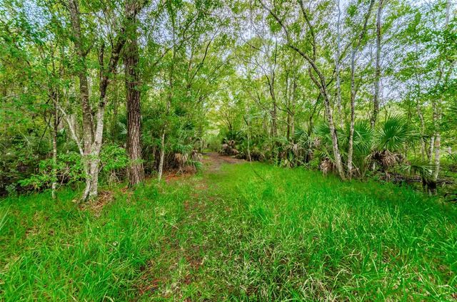 3164 BROOKER CREEK WAY, Palm Harbor, FL 34685