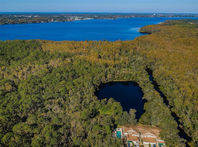 3164 BROOKER CREEK WAY, Palm Harbor, FL 34685