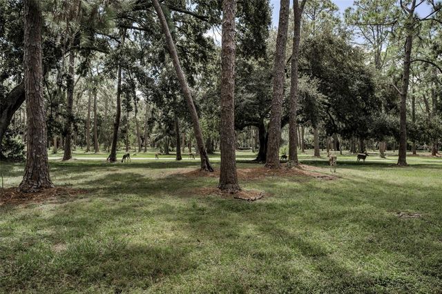 3164 BROOKER CREEK WAY, Palm Harbor, FL 34685