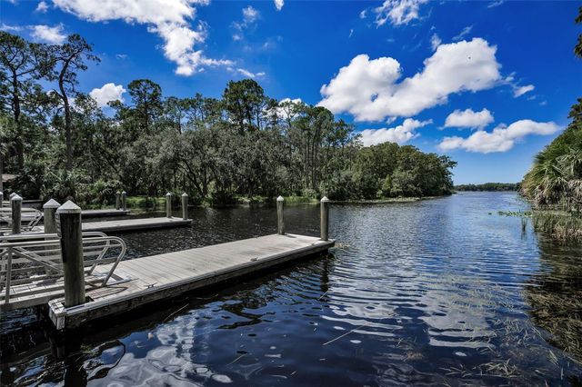 3164 BROOKER CREEK WAY, Palm Harbor, FL 34685